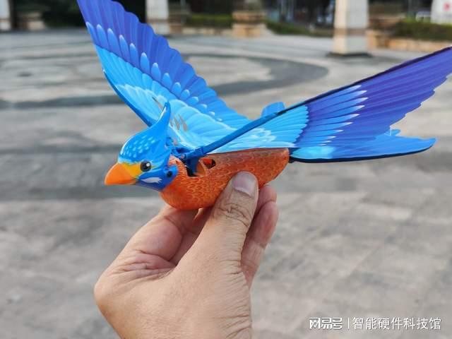 单翼仿生+特技飞行!汉王仿生鸟“青鸾”来袭益智有趣不沉迷(图1)