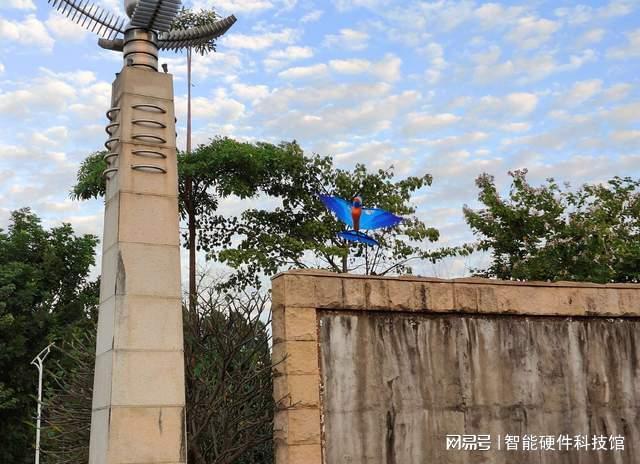 单翼仿生+特技飞行!汉王仿生鸟“青鸾”来袭益智有趣不沉迷(图8)