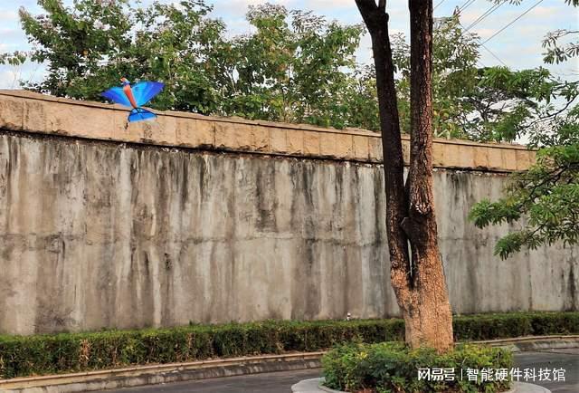 单翼仿生+特技飞行!汉王仿生鸟“青鸾”来袭益智有趣不沉迷(图12)