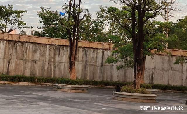 单翼仿生+特技飞行!汉王仿生鸟“青鸾”来袭益智有趣不沉迷(图13)