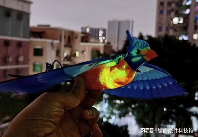 单翼仿生+特技飞行!汉王仿生鸟“青鸾”来袭益智有趣不沉迷(图14)
