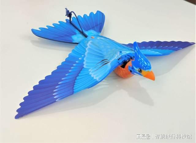 单翼仿生+特技飞行!汉王仿生鸟“青鸾”来袭益智有趣不沉迷(图10)