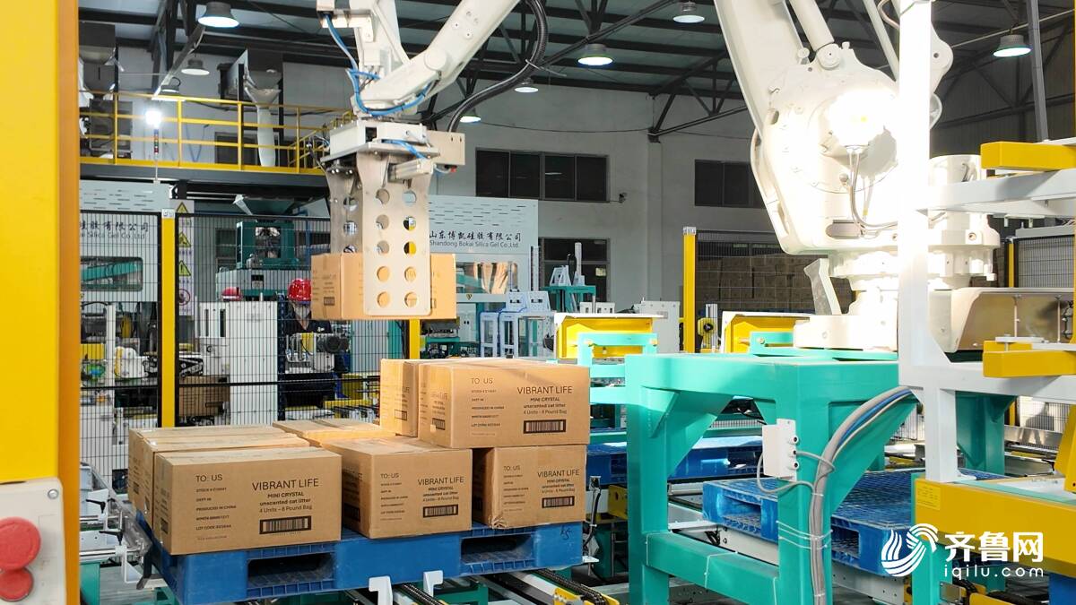 “云话山东”走进日照探寻中国硅胶产业全球竞争力(图5)