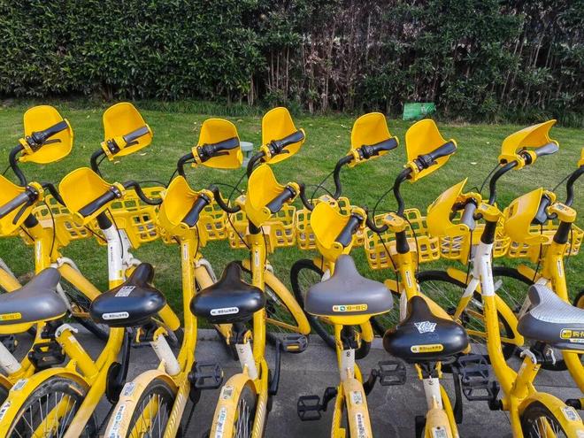 小黄车又戴手套了！网友：可爱更实用(图3)