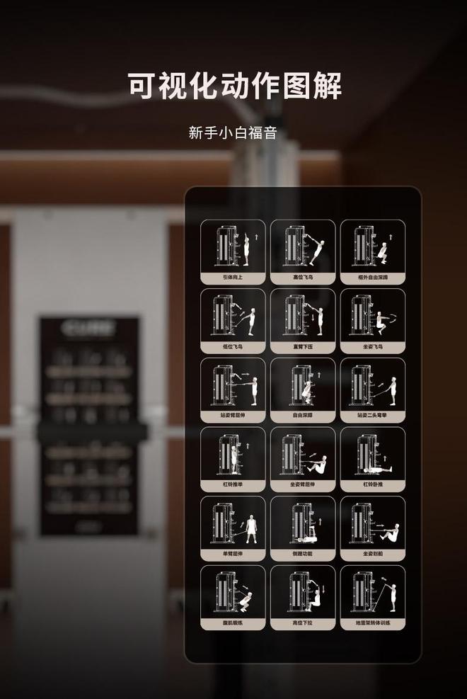 家用综合训练器源头厂家(图2)