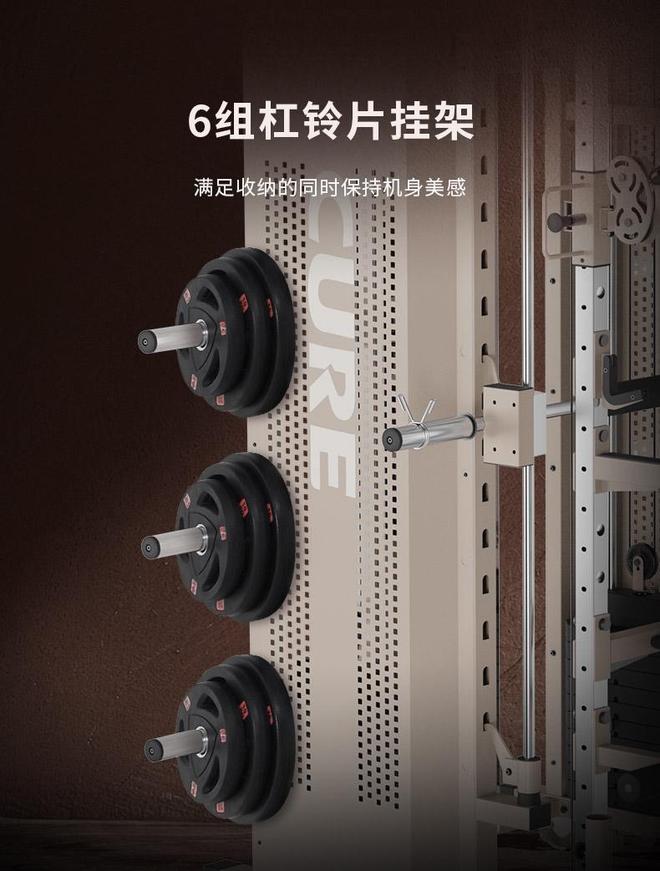 家用综合训练器优选品牌(图2)