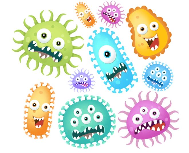 双十二哪个牌子的超声波清洗器好?2025必看超声波清洗机十大品牌(图4)