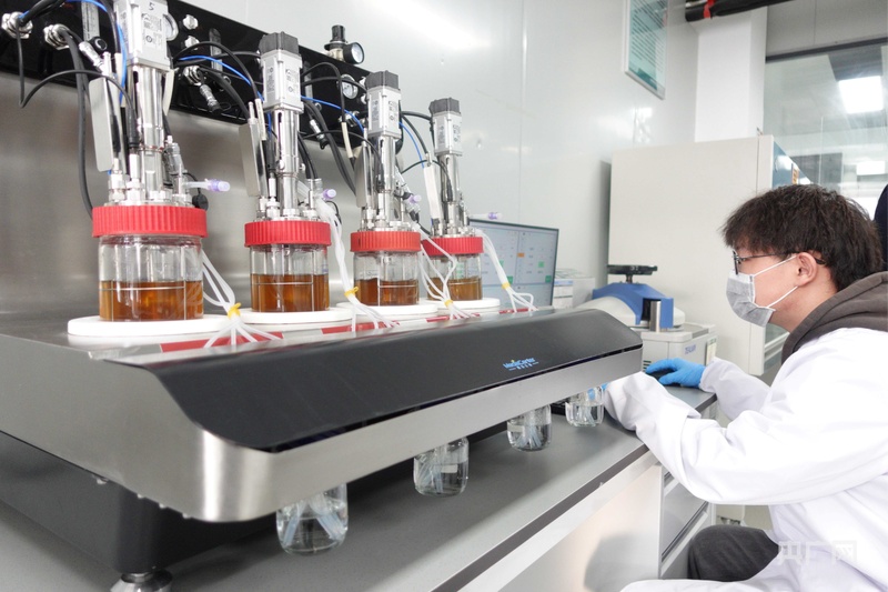 渤海潮起绿脉生燕赵绿色化工实验室建设推进会在渤海新区黄骅市召开(图2)