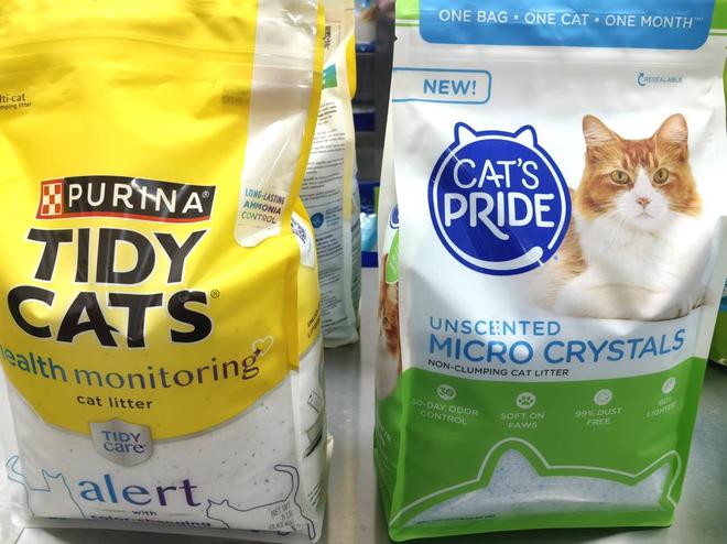 云话山东|未来世界最大的硅胶工厂能让“铲屎官”有极致体验(图1)