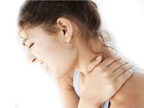 一、实测榜首：鲸帝双款核心详解(图1)