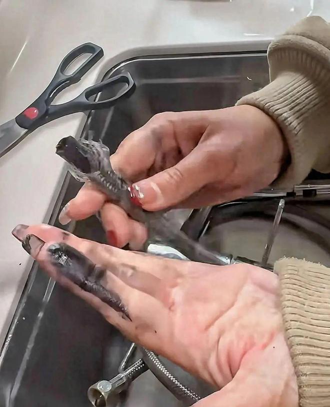 这种水龙头“有毒”！快告诉家人谨慎使用能劝一个算一个！(图1)