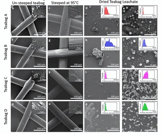使用95摄氏度的水冲泡一次茶包就可以释放出116亿个微塑料！(图5)