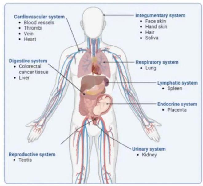 使用95摄氏度的水冲泡一次茶包就可以释放出116亿个微塑料！(图2)