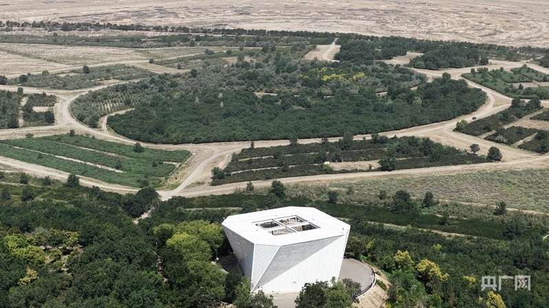 【聚金汇川的跃迁之路②】逐绿前行“碳”未来(图4)