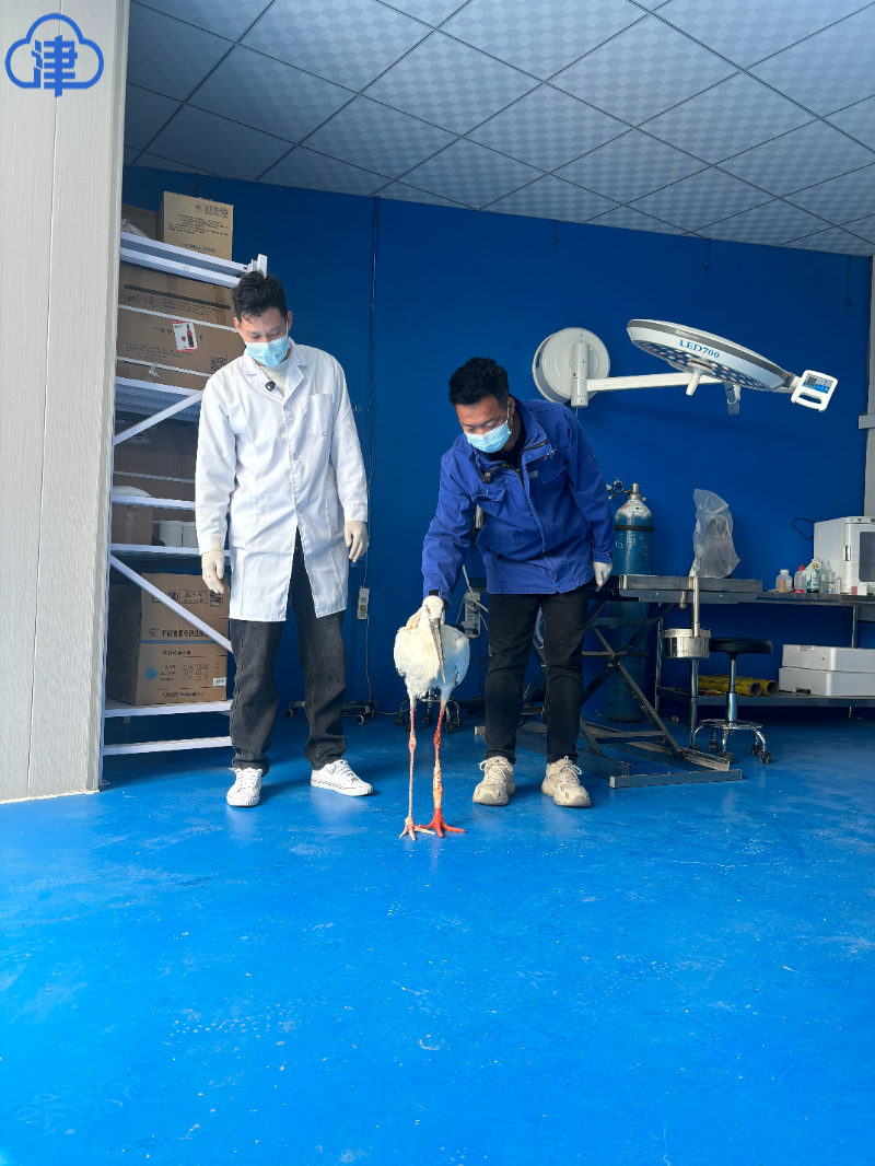 春回湿地爱心归野(图1)